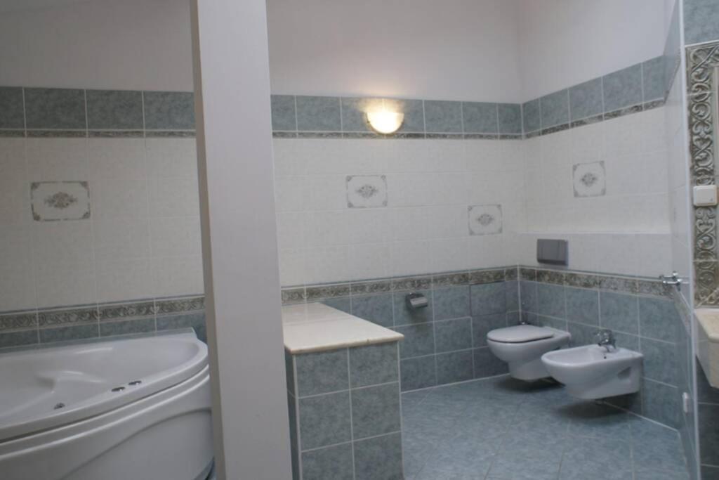 Florianska Penthouse Delux Daire Krakow Dış mekan fotoğraf